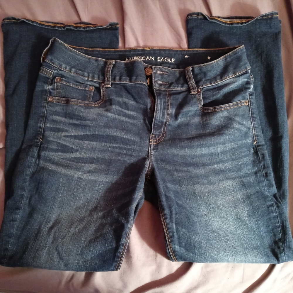 American Eagle Artist Flare Jeans